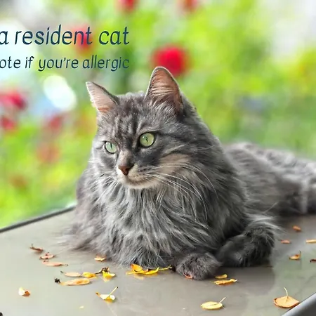 Hostel Kobarid Kobarid