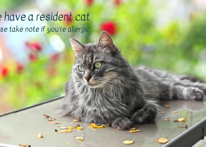 Hostel Kobarid Kobarid